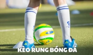 kèo rung